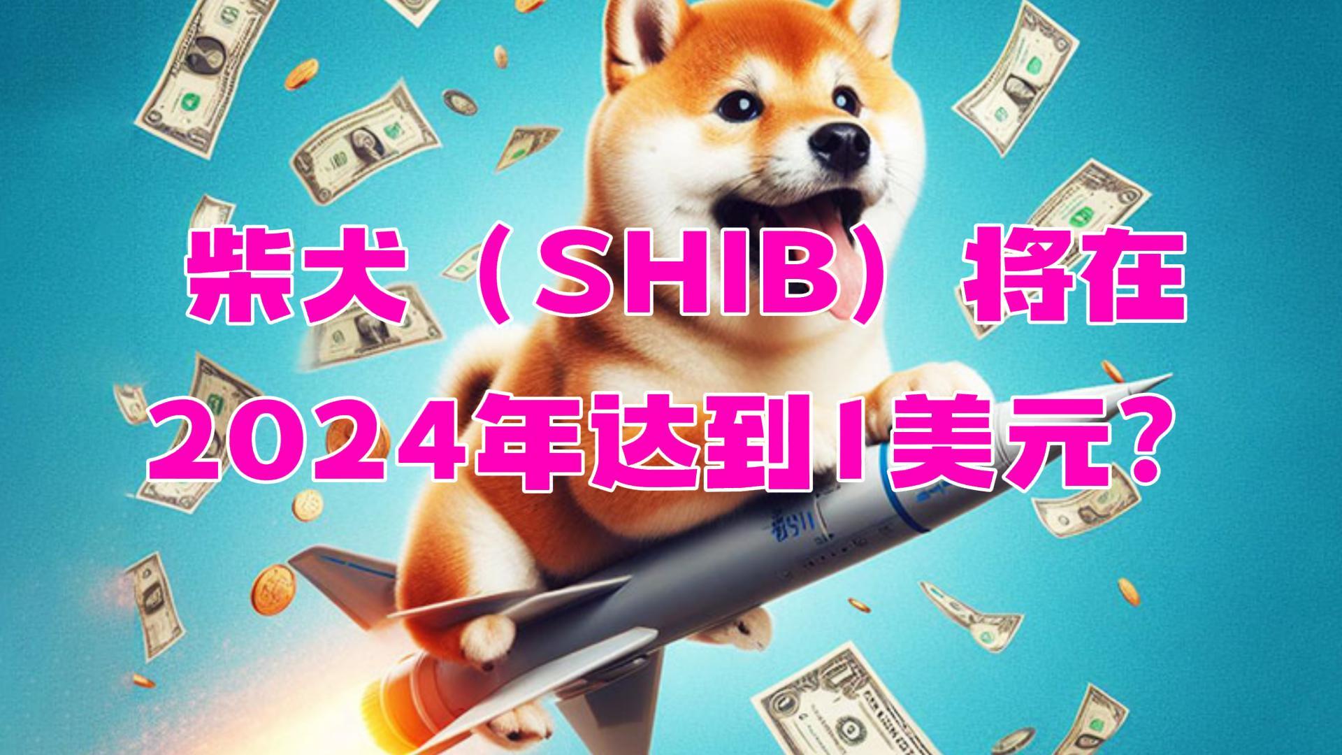 SHIB突遭安全漏洞，流失高达以太坊万美元